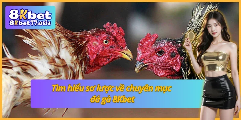 Giới thiệu sơ lược về sảnh đá gà 8Kbet