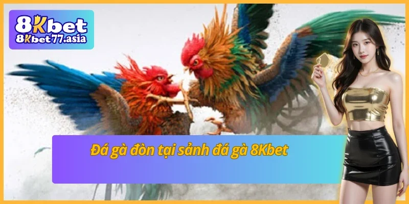 Đá gà đòn tại sảnh đá gà 8Kbet