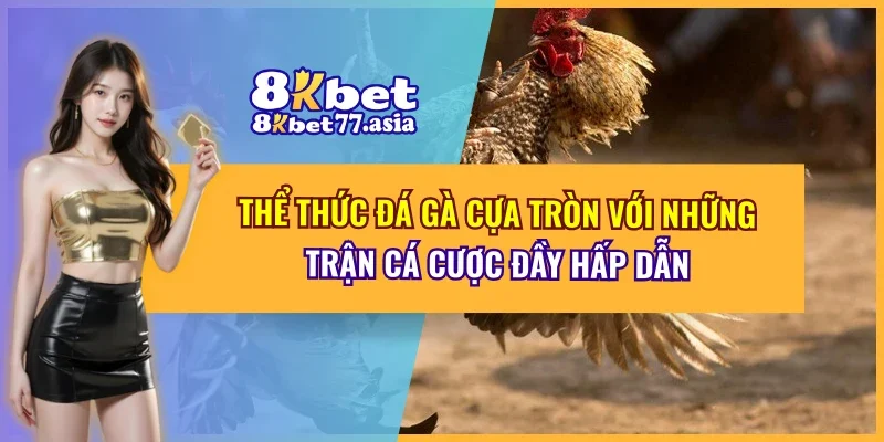 Đá Gà Cựa Tròn